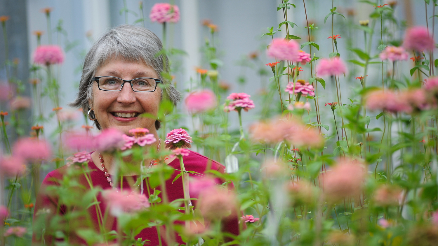 NC State University horticulture professor Julia Kornegay poses amongst pink flowers.