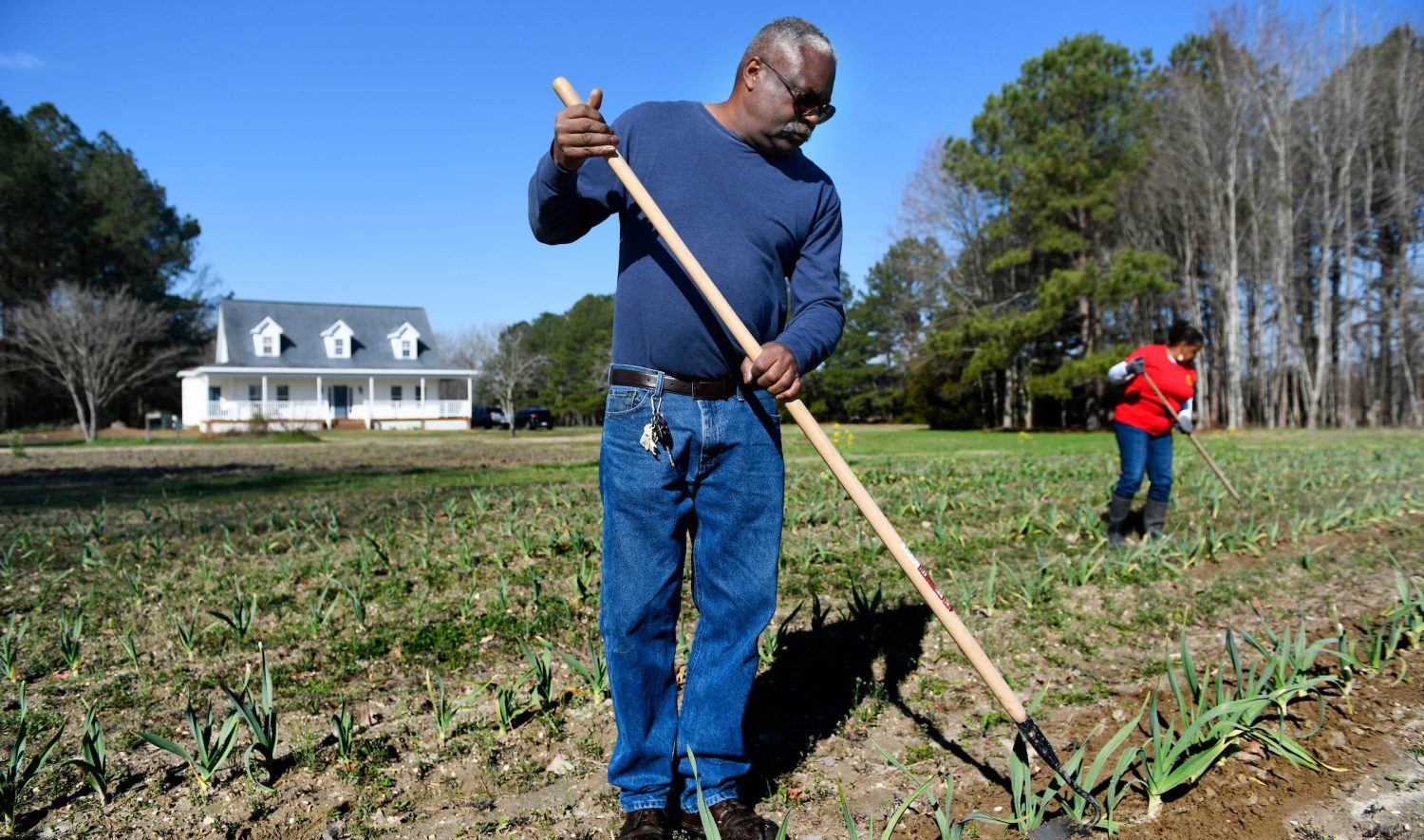 Mr. and Mrs. Kidd working their garlic farm.