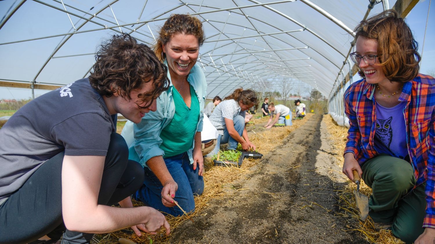 Volunteers and community participants take part in an Extension gardening demonstration inside of a greenhouse