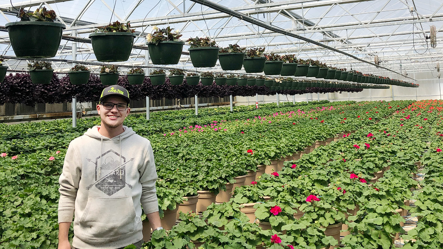 a man stands in a greenhouse among rows of plants