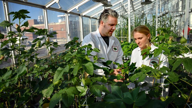 Undergraduate student listens to plant science teacher describe plants.