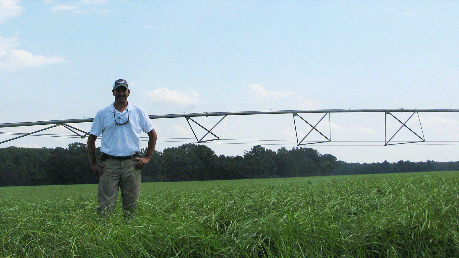 Donny Lassiter standing in an irrigated field of chufa.