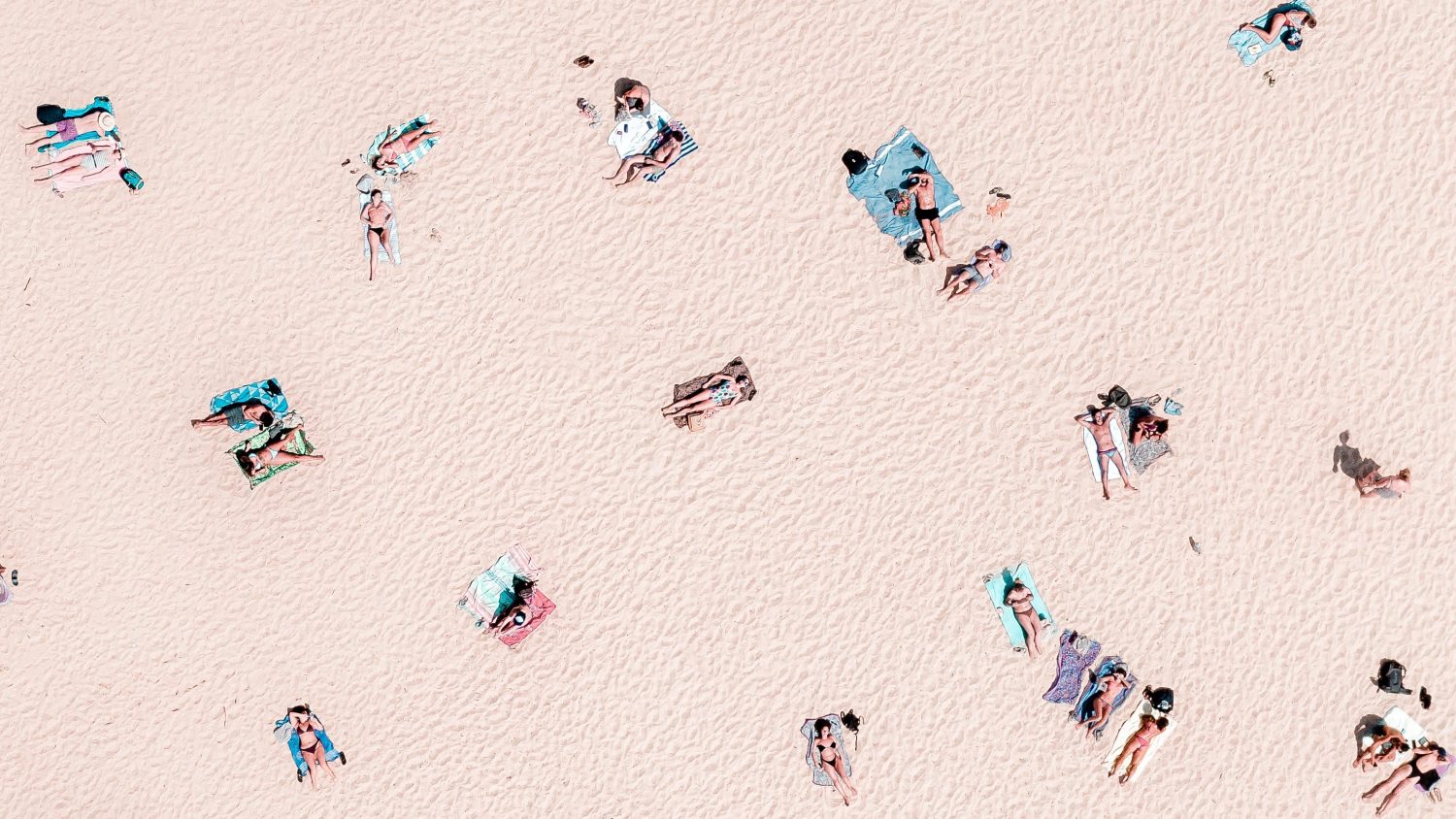 sunbathers on a pink sand beach
