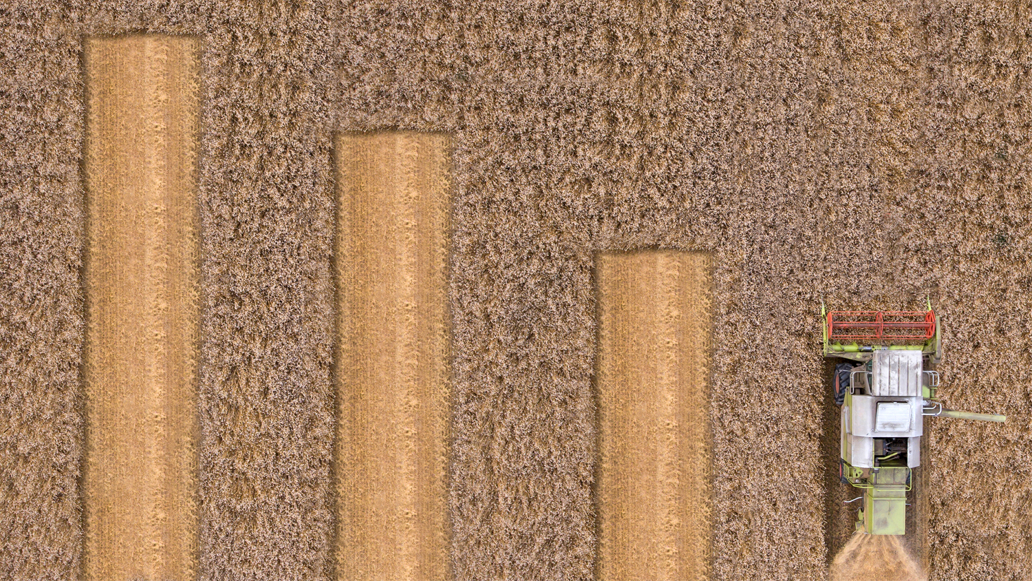 Aerial view of combine in field creating a bar chart visual.