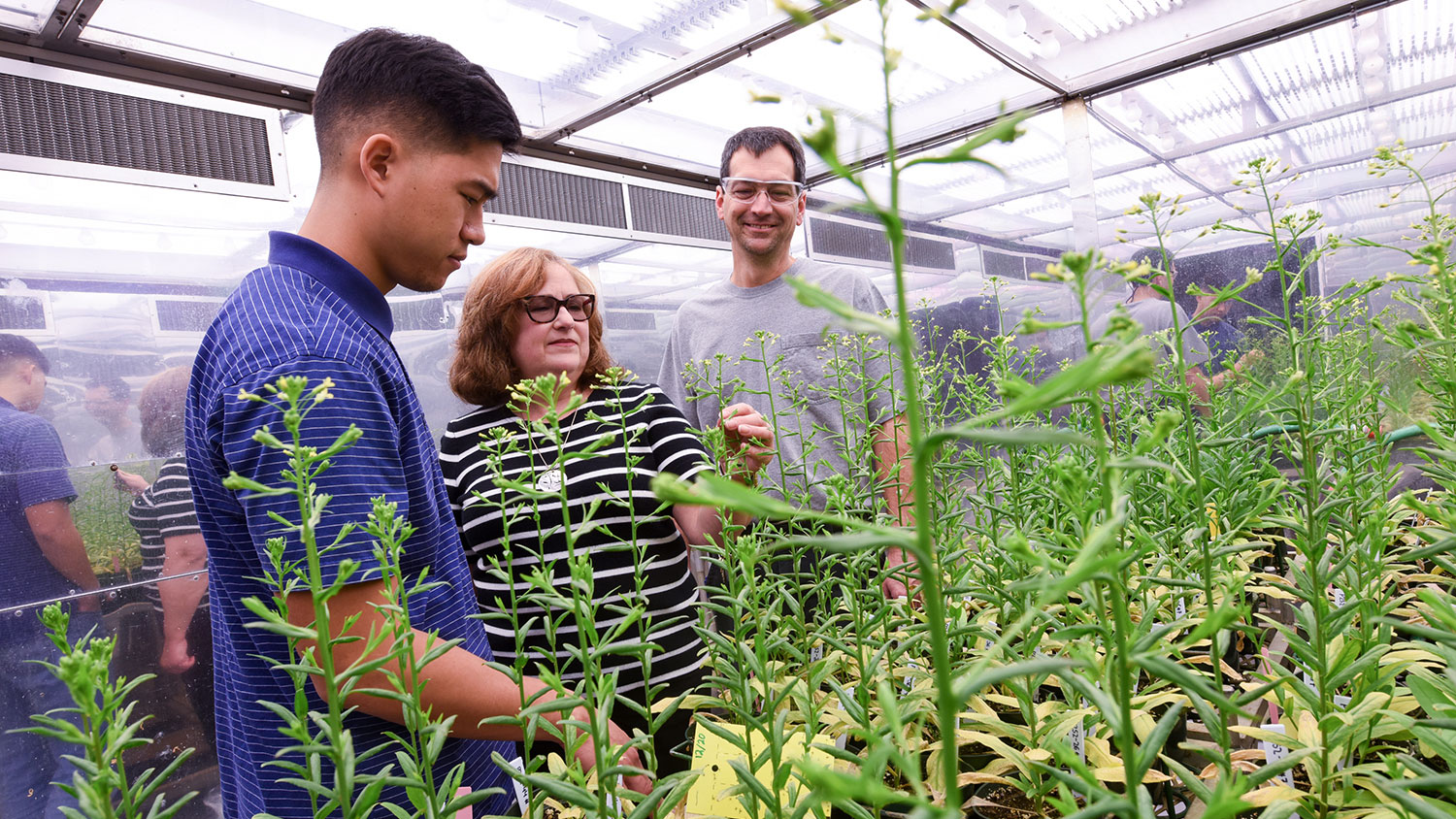 Three people examine plants in a large, lighted chamber.