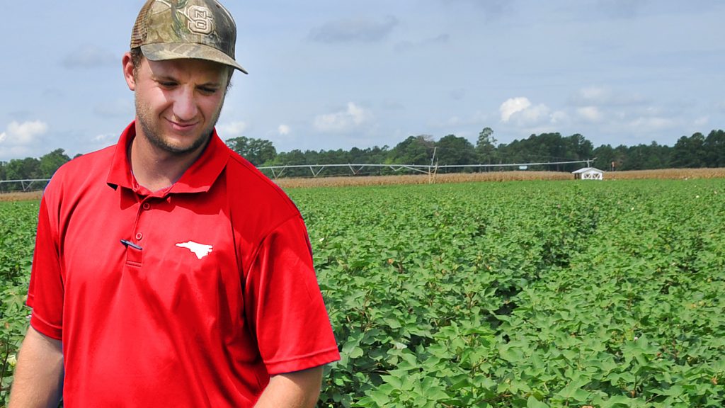 Young farmer in a cotton field in eastern North Carolina
