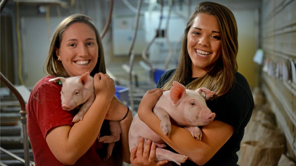 Students in a farm