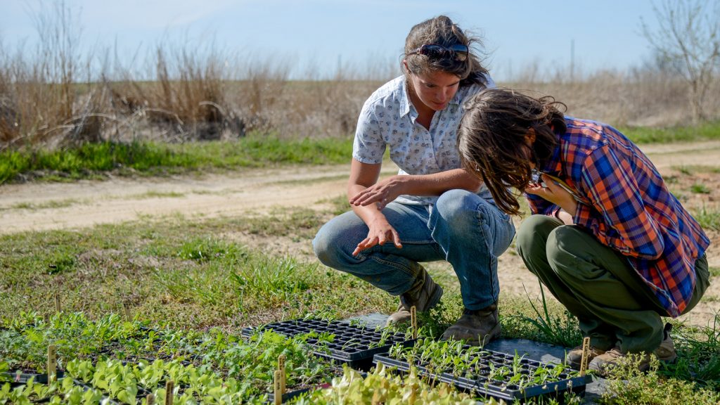 AGI graduate offering advice to local farmer