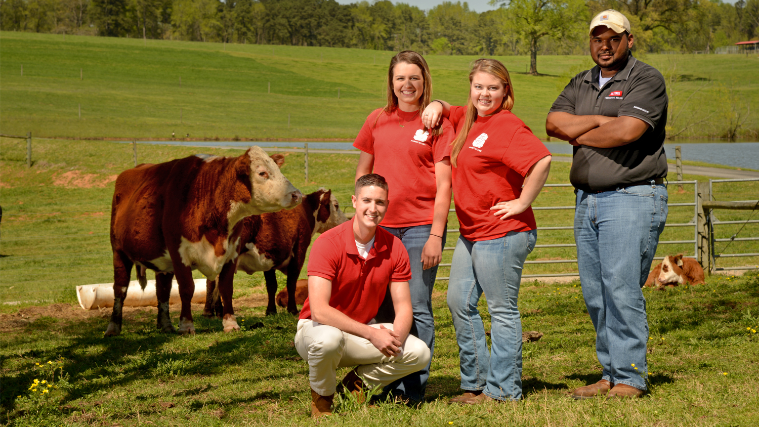 Four AGI students at NC&#160;State's Lake Wheeler Farms Beef Unit