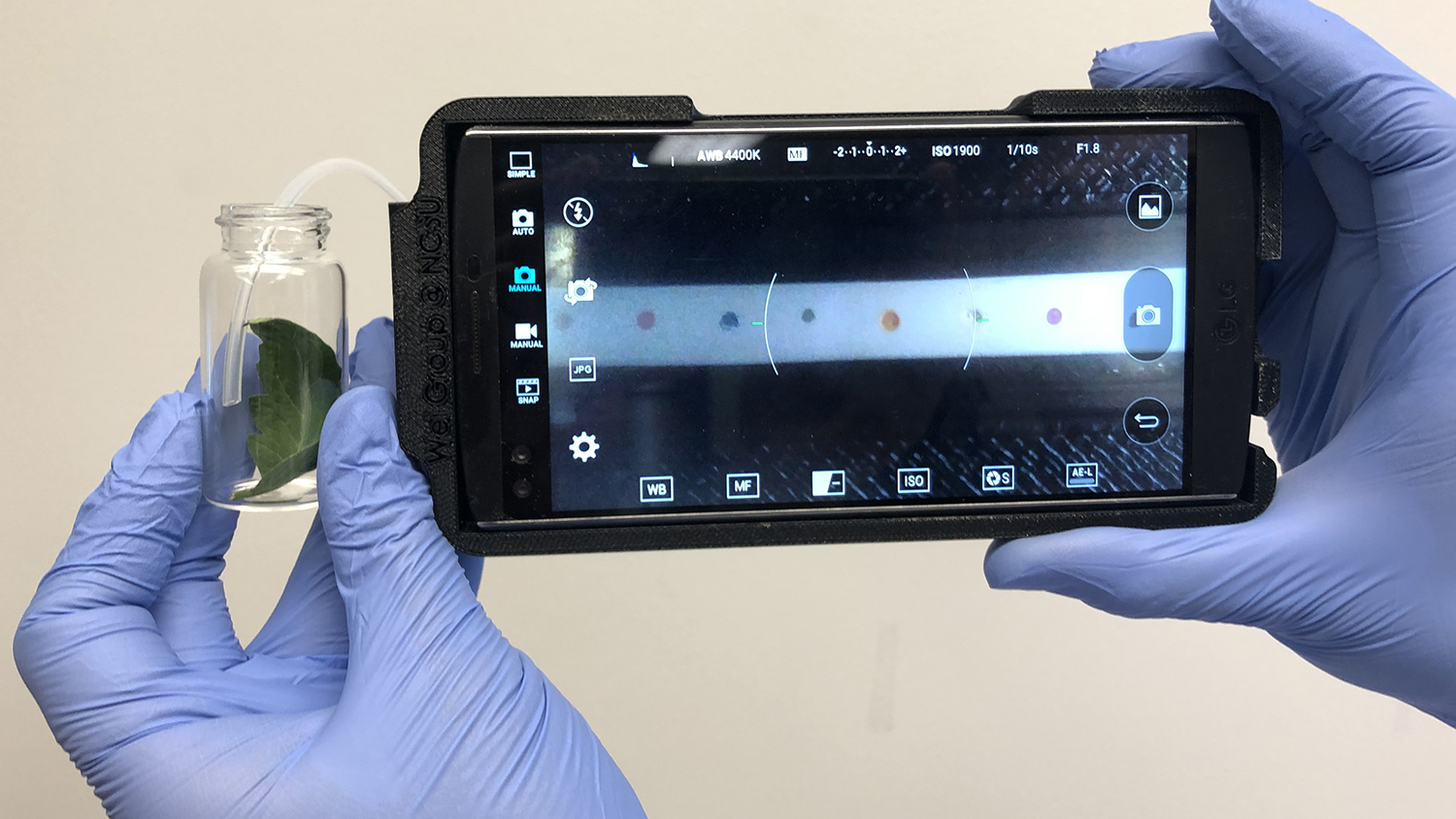 hands hold smartphone and sampling container for plant disease detection tech