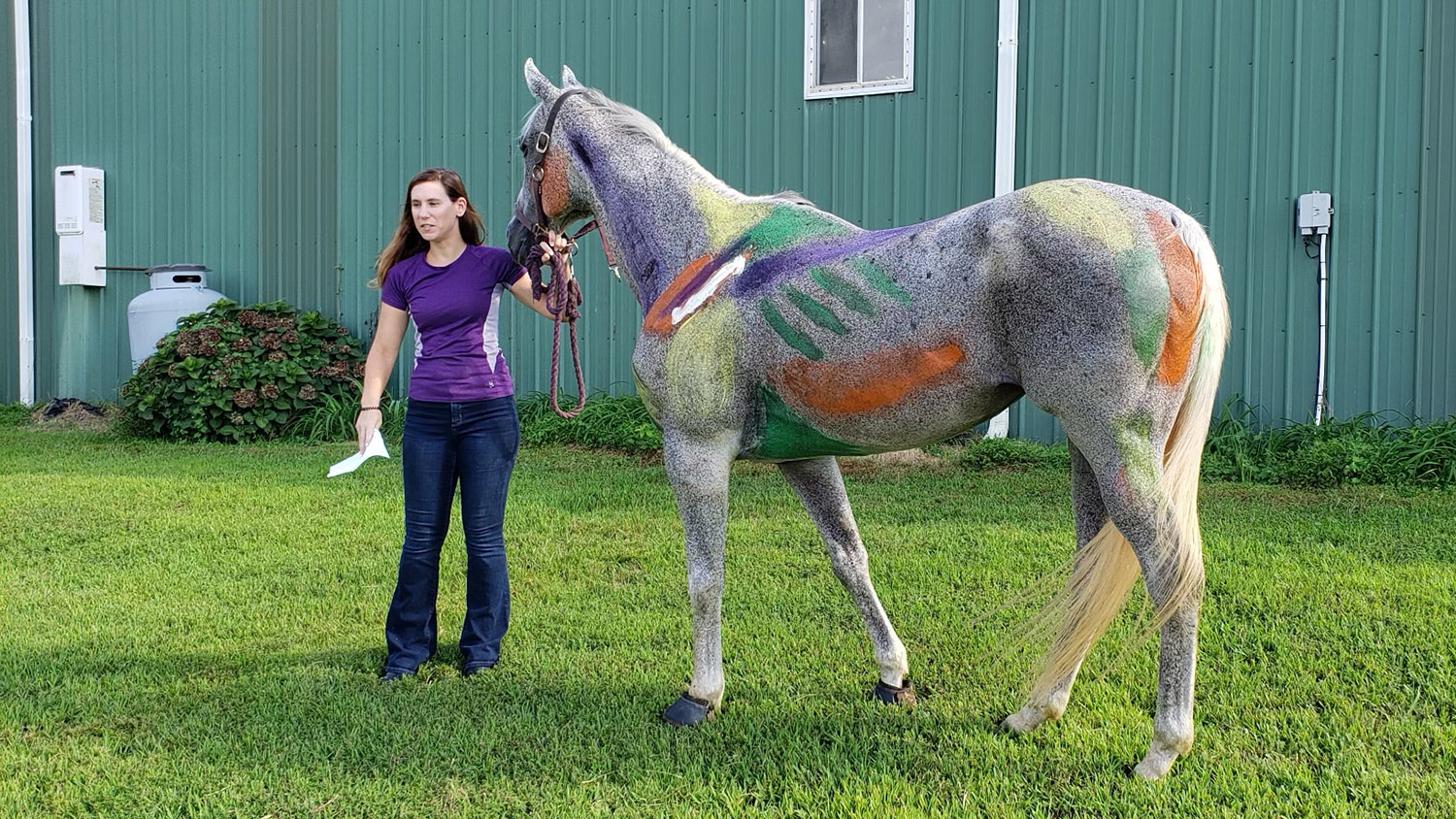 Woman with horse painted to identify muscles