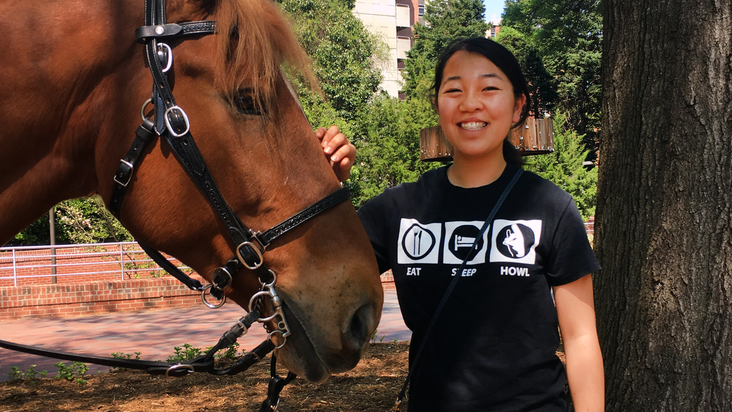 Animal Science student Kristen Hasegawa standing with a horse.