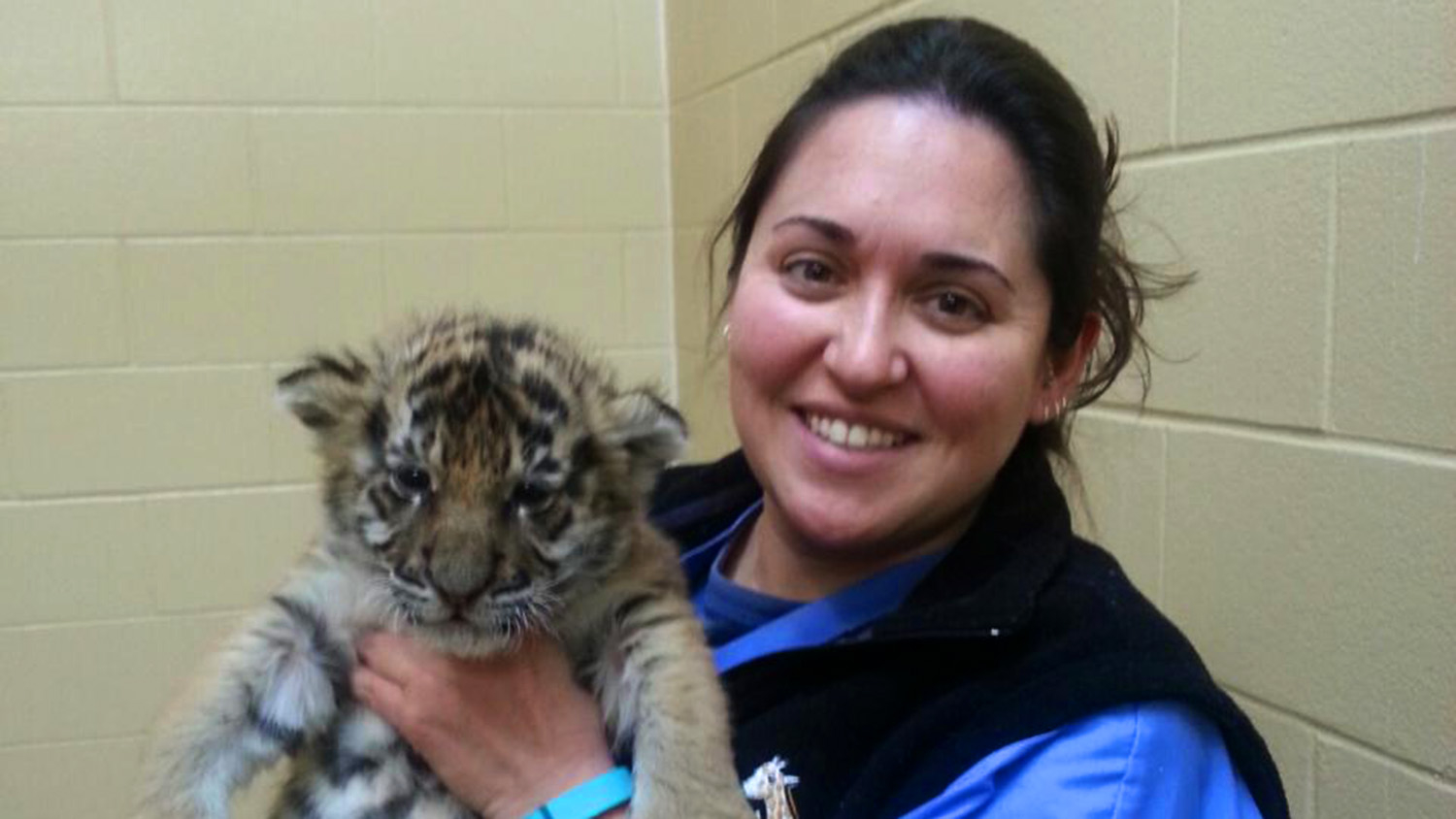 Amanda Guthrie holding baby tiger
