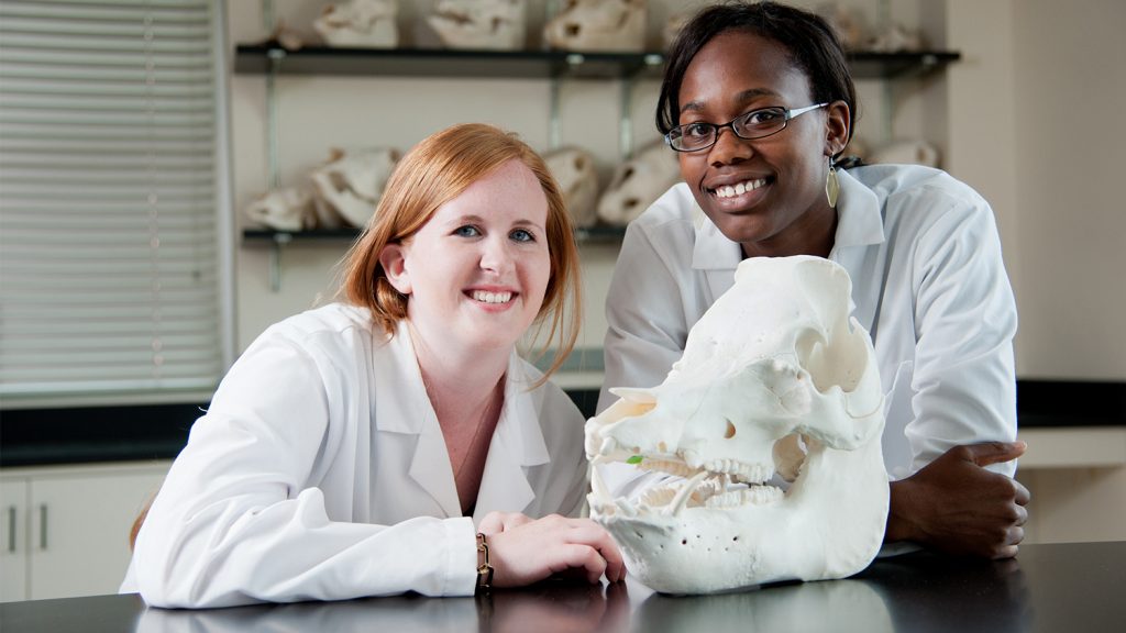 two researchers posing with a large animal skull