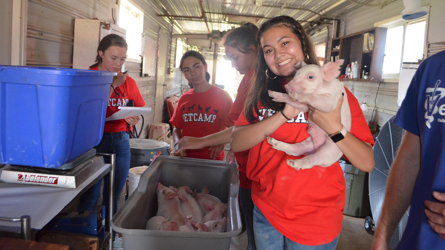VetCAMP students holding piglets