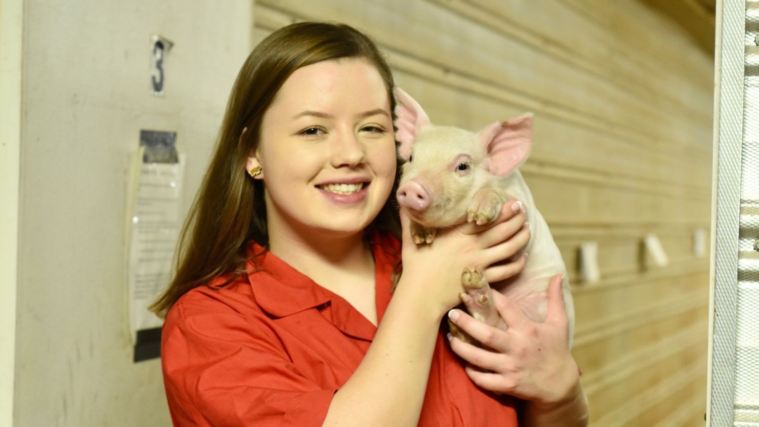 a female undergraduate student smiling while holding a pig