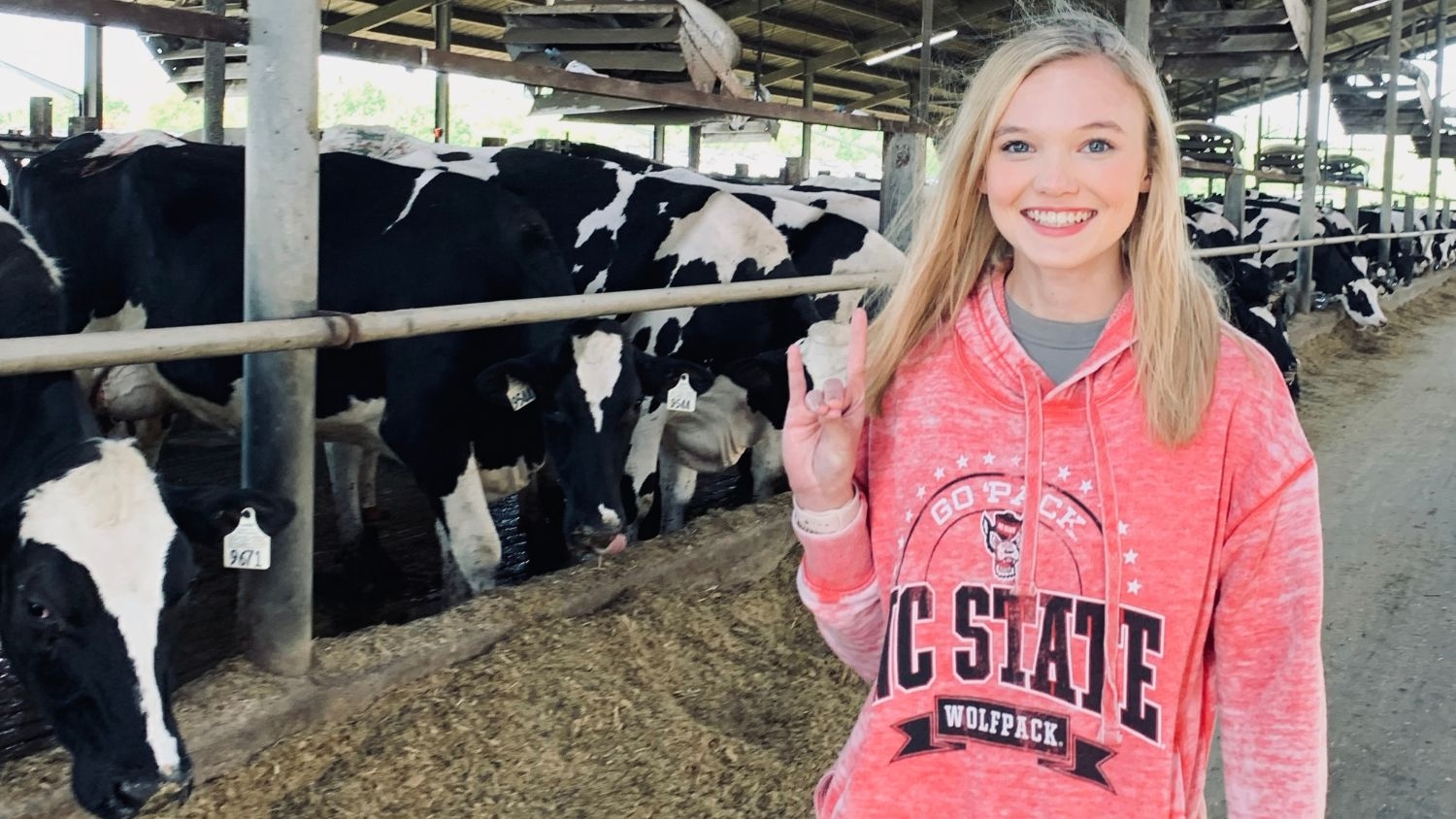Ashlyn Ramsey wearing an NC State sweatshirt in a barn with cows
