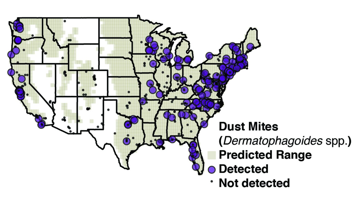 Map of US with dust mite concentrations