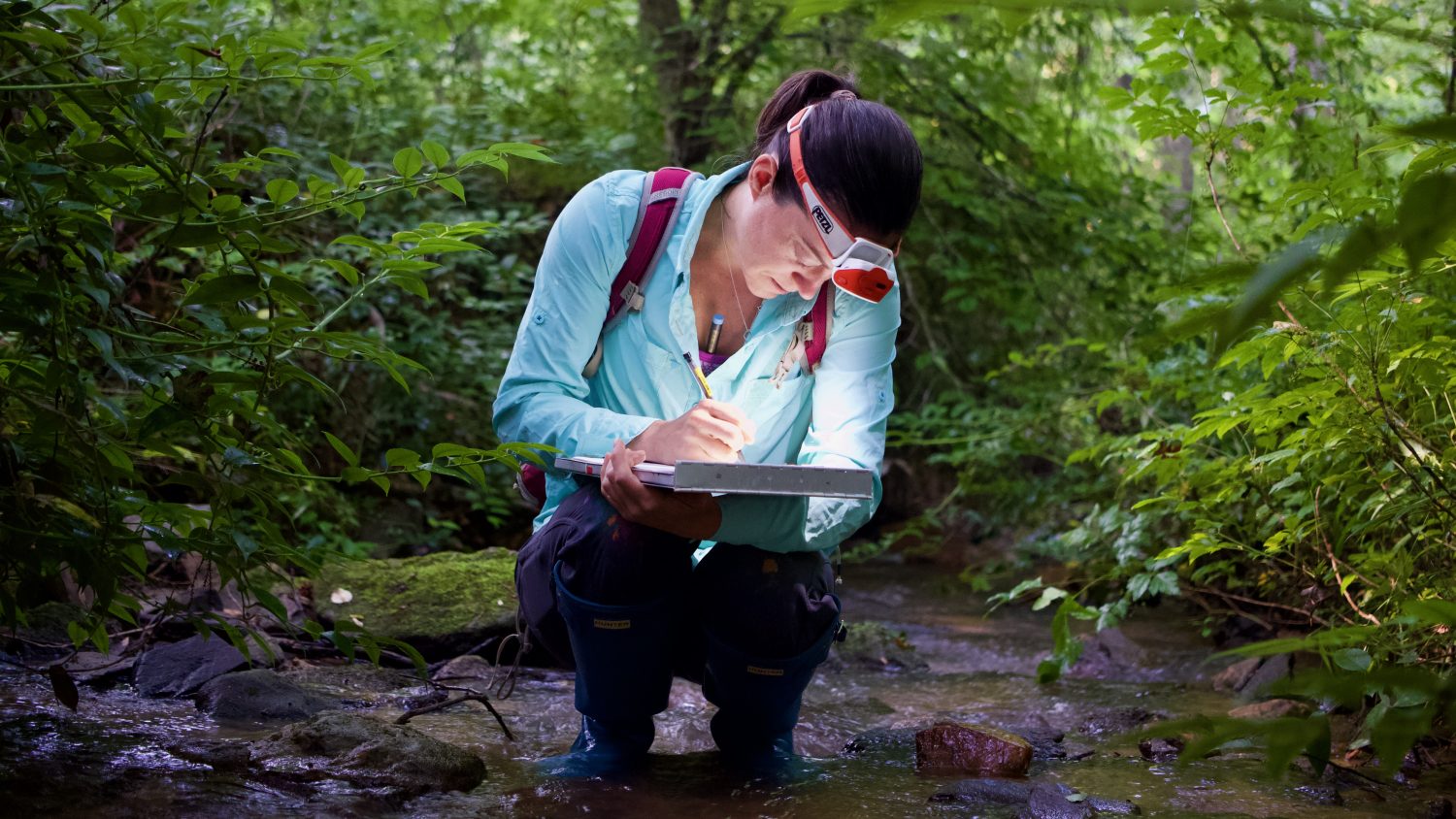 Aquatic research and stream ecology