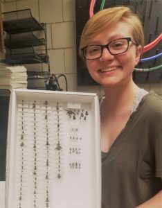 Kate Gorman with bee collection at Ohio State University