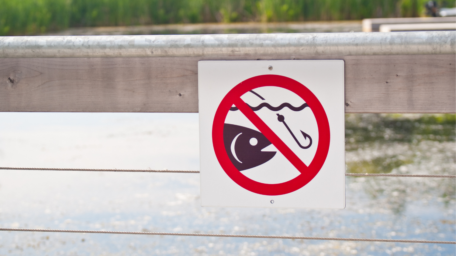 Какие запреты на рыбалку в 2024 году. Рыбалка запрещена. Рыбалка запрещена табличка. Ловля рыбы запрещена знак. Знак запрещения рыбачить.