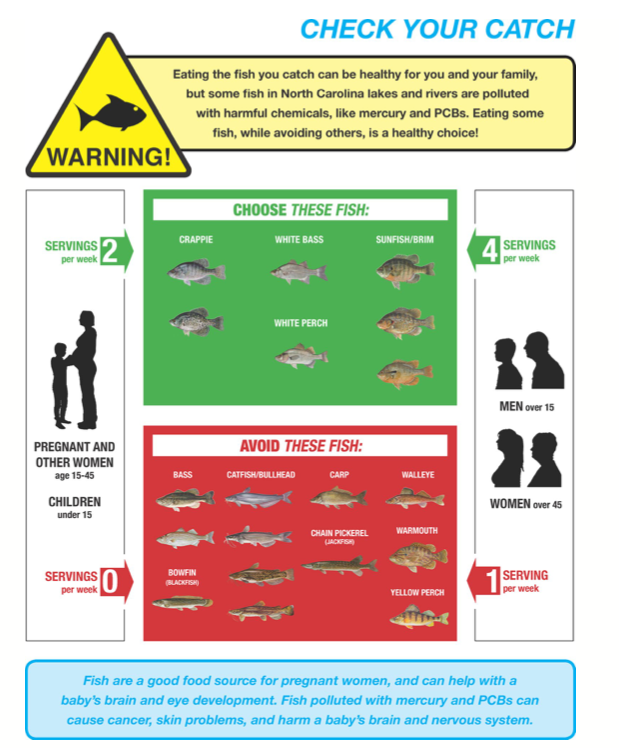 Landing the Best Fish Consumption Advisory Signs for Sport and