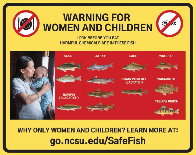 Landing the Best Fish Consumption Advisory Signs for Sport and