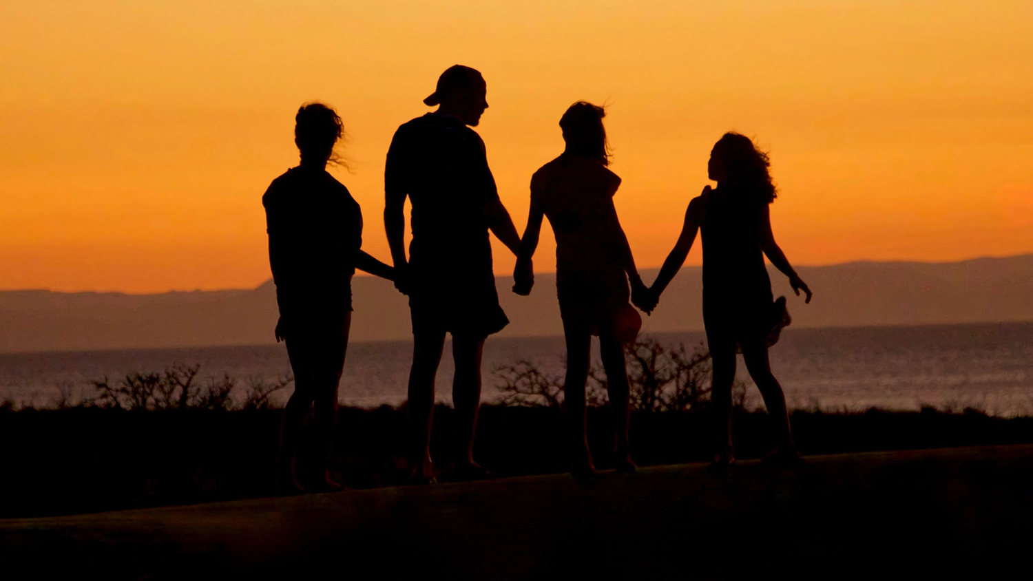 family in silhouette