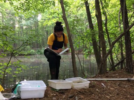 April identifying and recording macroinvertebrates at a natural pond site
