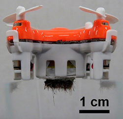 Image of an artificial pollinator drone with a “hairy” underside inspired by bees, from MIYAKO Lab (Miyako, “Creation of Game-Changing-Technology…”)