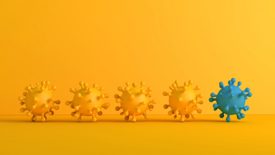 A Primer on Coronavirus, Variants, Mutation and Evolution