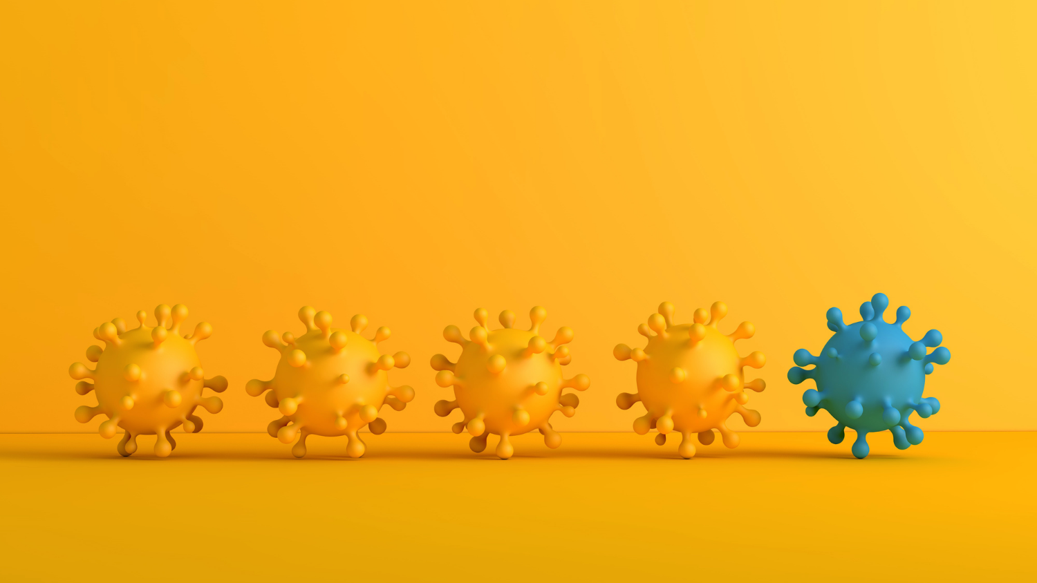 A Primer on Coronavirus, Variants, Mutation and Evolution | Applied Ecology  | NC State University