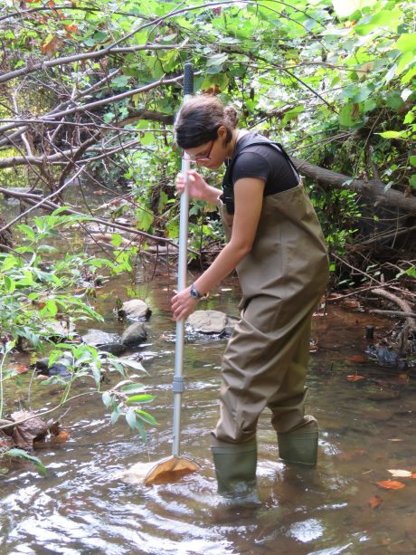Ph.D. student Mariely Vega Gomez sampling a stream in Puerto Rico.