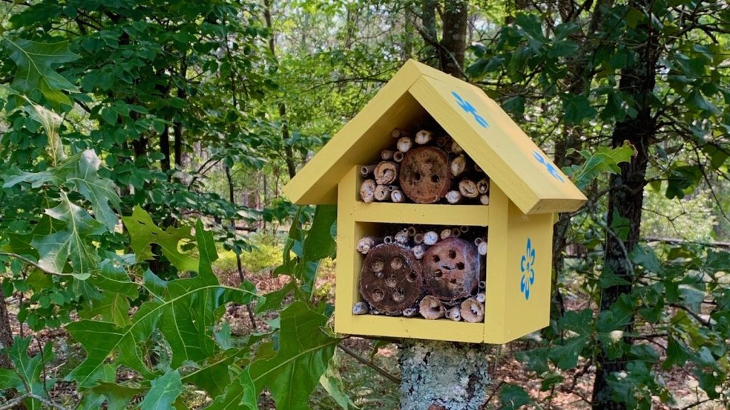 updates-from-our-2021-bee-hoteliers-applied-ecology-nc-state-university