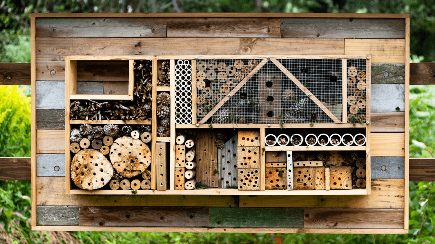 Several wooden blocks with hotels arrange along a wooden wall for bees to take refuge in.