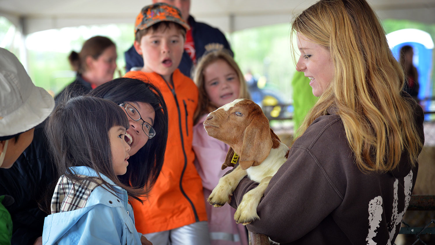 Scene from Farm Animal Days