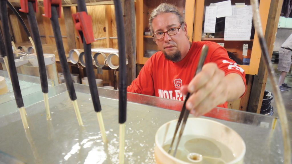 Striped Bass Researcher Ben Reading