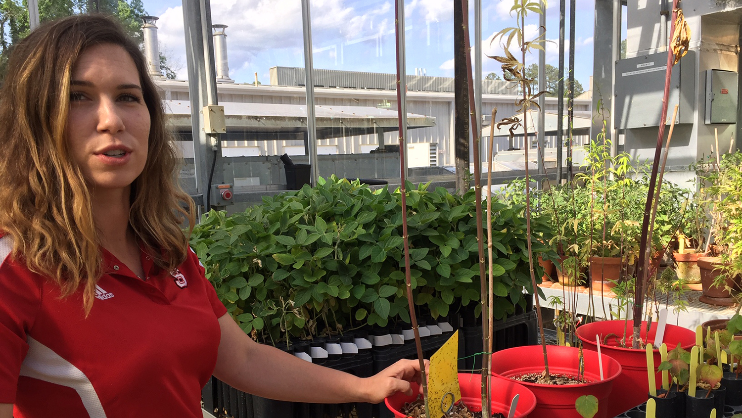 Picture of Ashley Joyce in a greenhouse