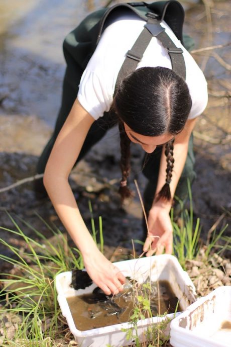 April Sharp looks for macro-invertebrates after surveying a pond. 