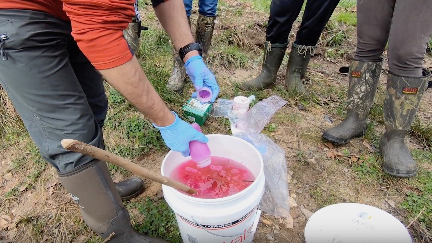 Measuring the nutrient uptake in creeks with salts and dyes for applied ecology class.