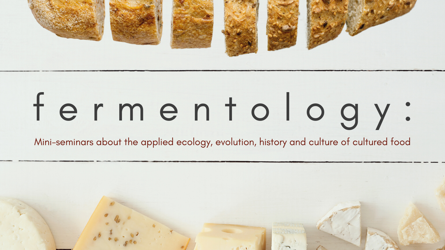 Fermentology mini seminars banner