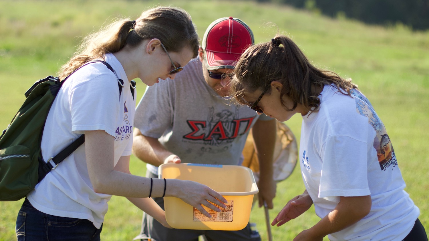 Three applied ecology students look into a insect bin to see what they collected in their sweep nets.