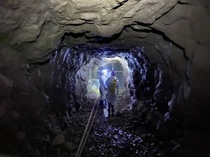 Researchers search hibernation sites for banded bats. Photo courtesy of Kate Langwig.