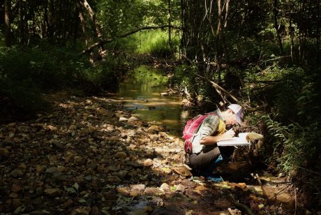 M.Sc. student and author, Samantha Jordt, recording insect egg presence in a stream.