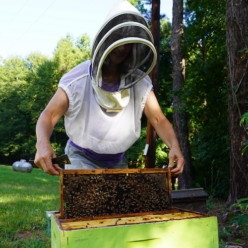 Jennifer Keller with frame full of honey