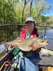 Cara Kowalchyk with striped bass