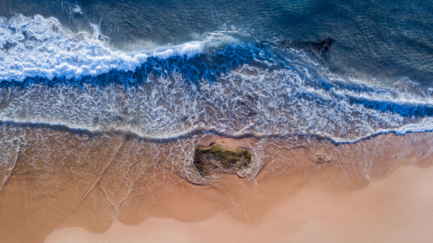 coastline and sandy beach