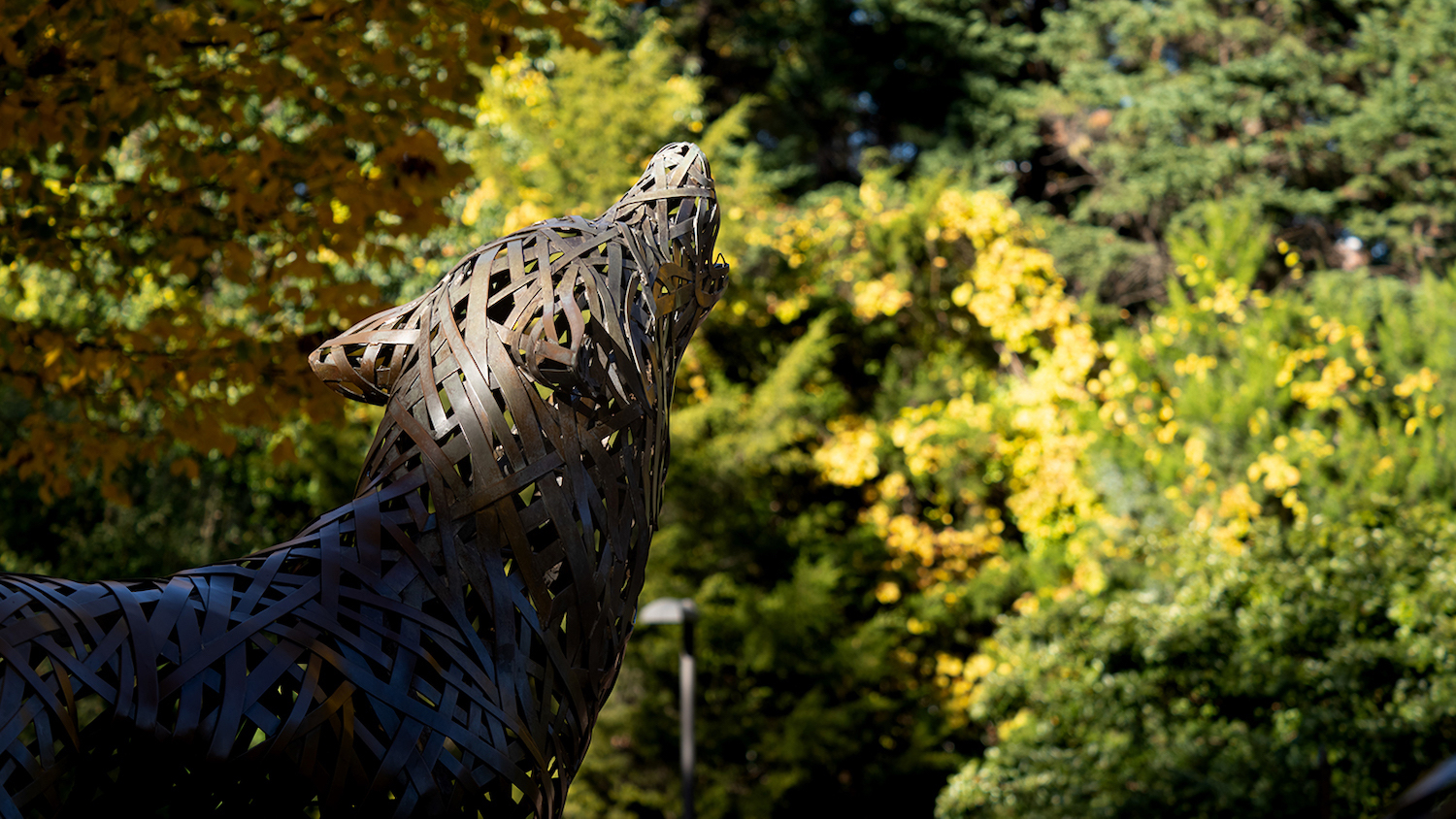 howling wolf statue