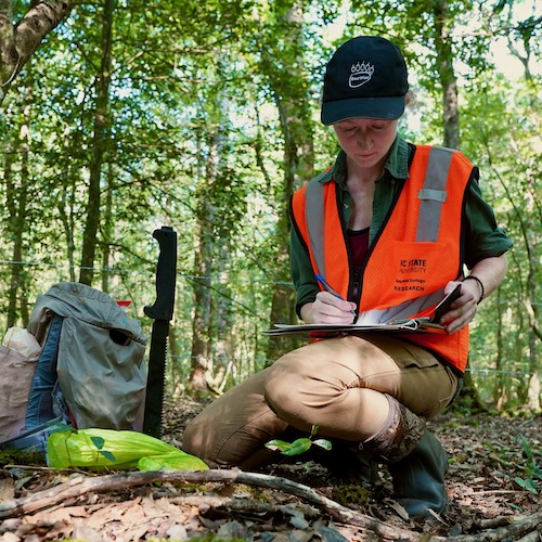 Research Assistant Caitlin Brett collecting hair samples in the field.