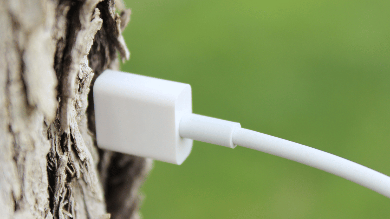 A plug into a tree